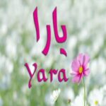 معنى اسم يارا Yara